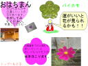 7 �y�[�W